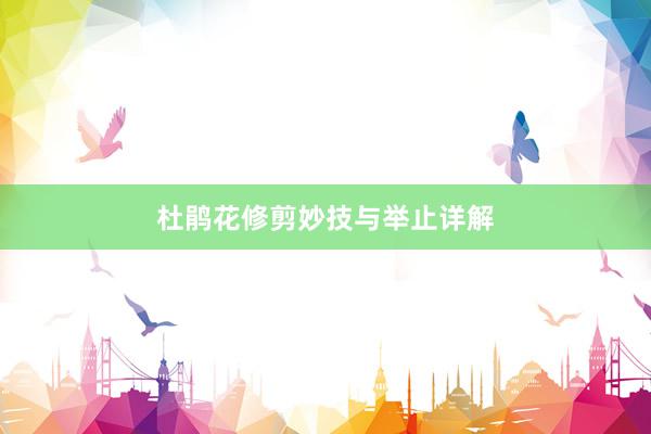 杜鹃花修剪妙技与举止详解