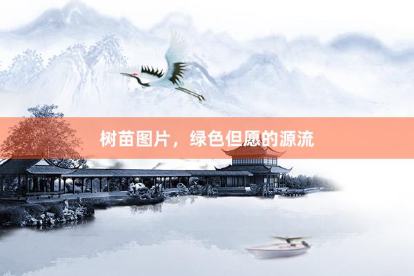 树苗图片，绿色但愿的源流
