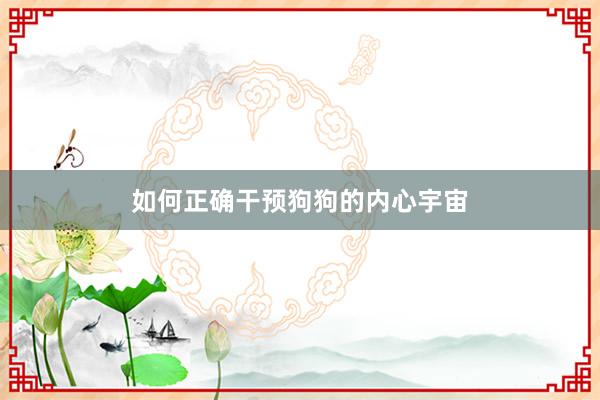 如何正确干预狗狗的内心宇宙